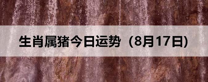 生肖属猪今日运势(08月17日)