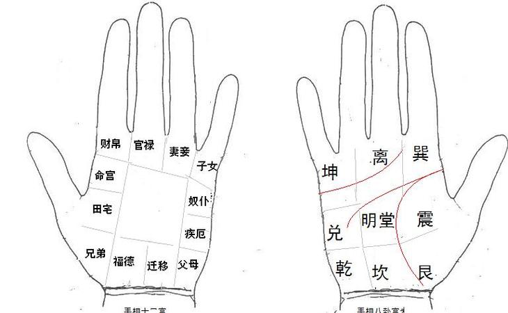 看手相算命图解 男人看手相生命线算命_ 乾坤网(原易灵算命网)手机版